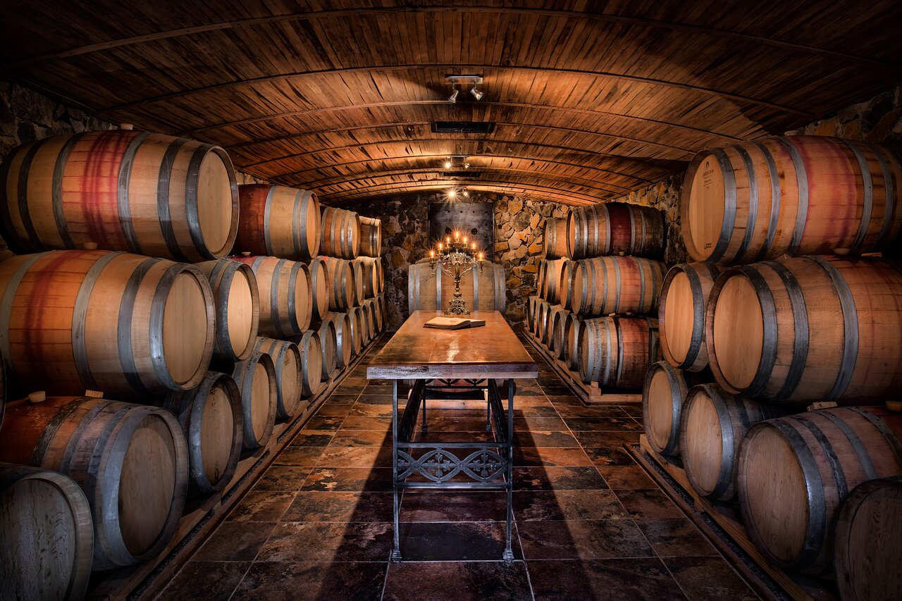 Imagen foto_00000001