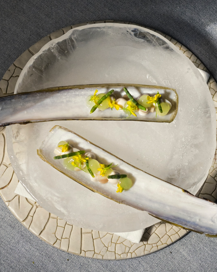 Imagen foto_00000004