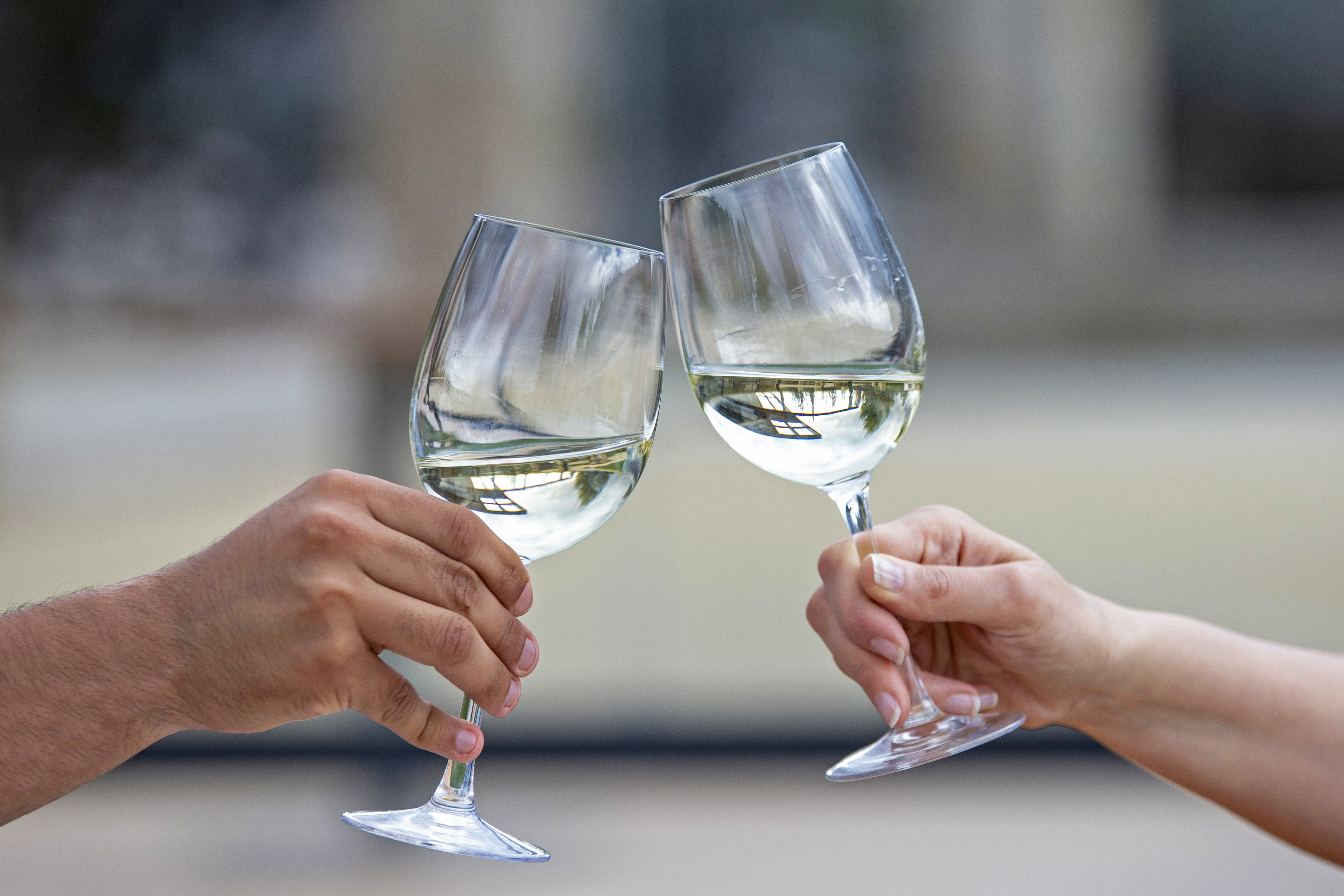 Imagen foto_00000005