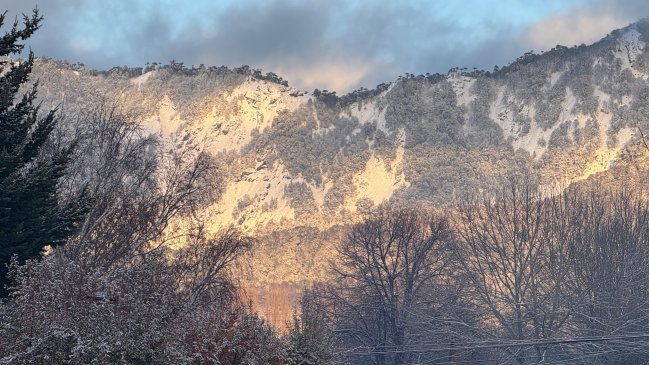 Lonquimay registró 14 grados bajo cero: escarcha causó accidentes