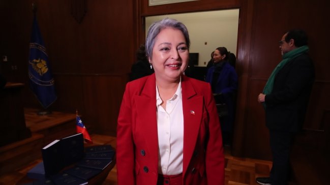 Presidenciales: PPD llama a 