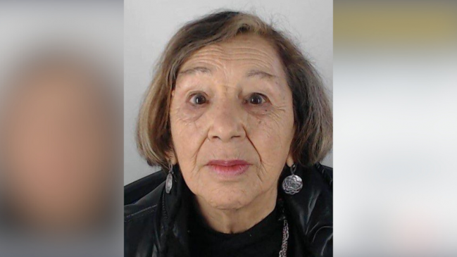 Desaparición de anciana en Limache: Familia acusa 