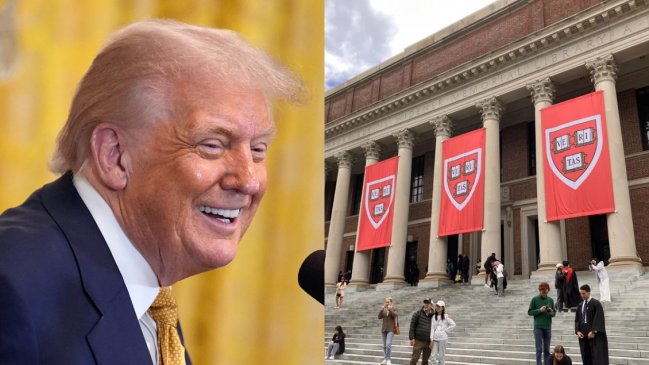 Harvard cede a Trump y cierra oficinas para minorías, LGBTQ y mujeres