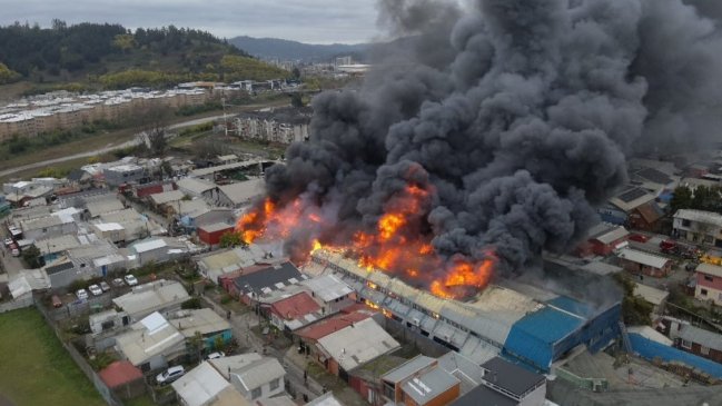 Bomberos combatió incendio de rápida propagación en Concepción