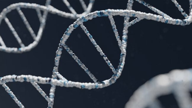 Contraloría detectó atrasos de hasta 13 años en ingreso de perfiles de ADN a registro clave en investigaciones