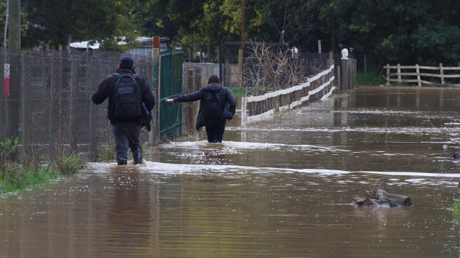 Alcalde de Mulchén: Las lluvias han sido tremendas, inexplicables