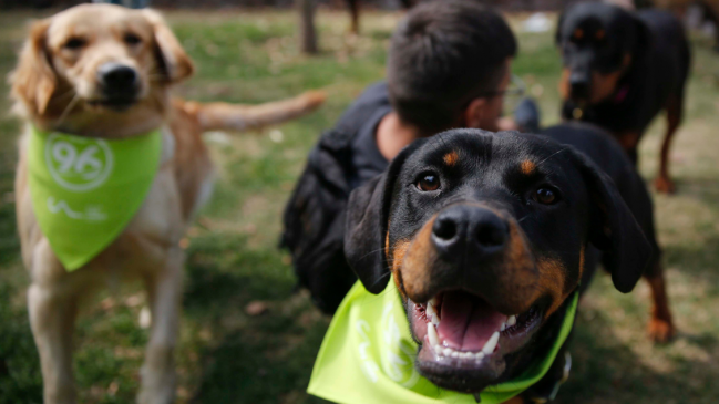 Abren consulta ciudadana para actualizar 