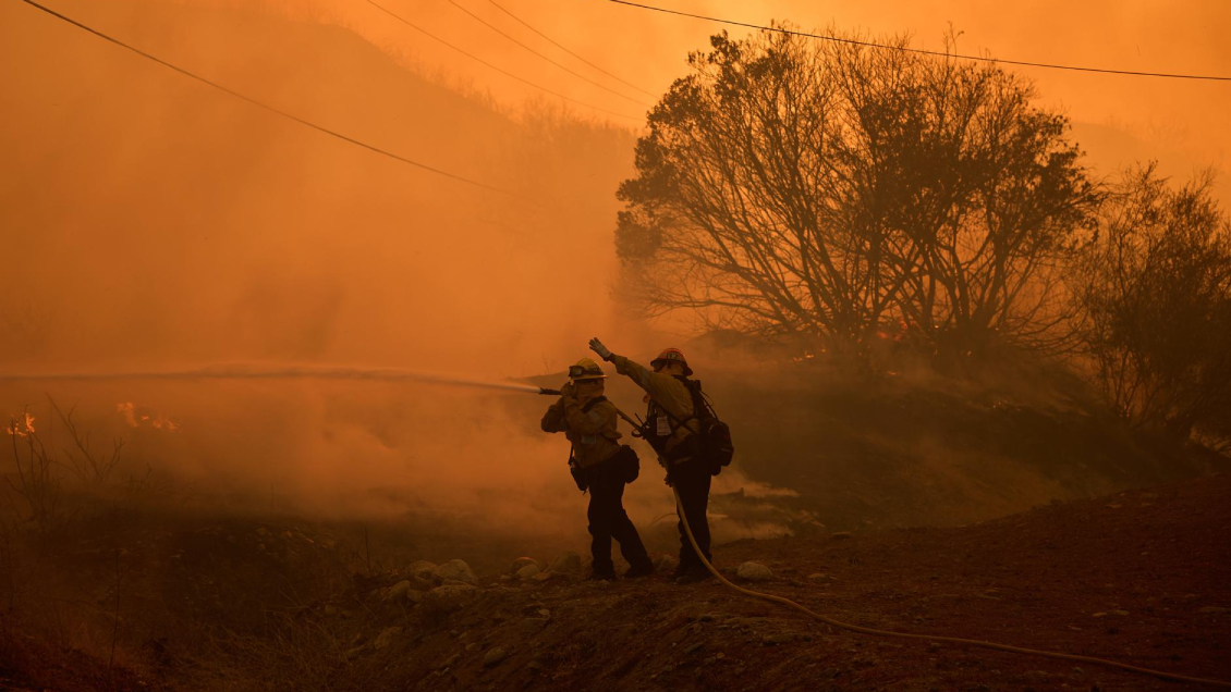 Incendios forestales en California: devastación y evacuaciones