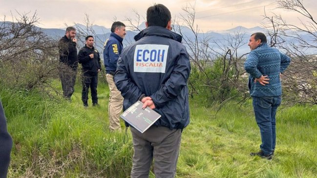 Detectives, fiscales y perros buscan cadáver correspondiente al cráneo hallado en Limache