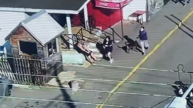 Mujer irrumpió con dos cómplices en hospital de Coronel y sustrajo a su propia guagua