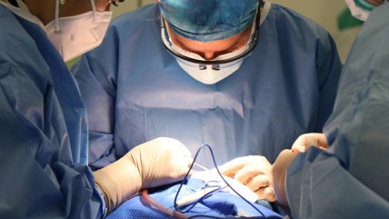   Realizan el primer trasplante de pulmón de cerdo a un humano en muerte cerebral 