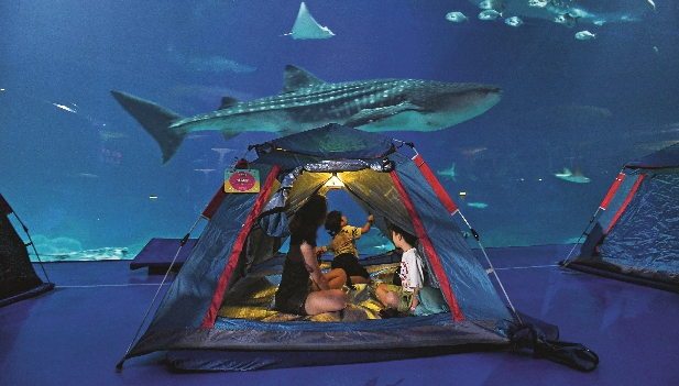 Imagen foto_00000003