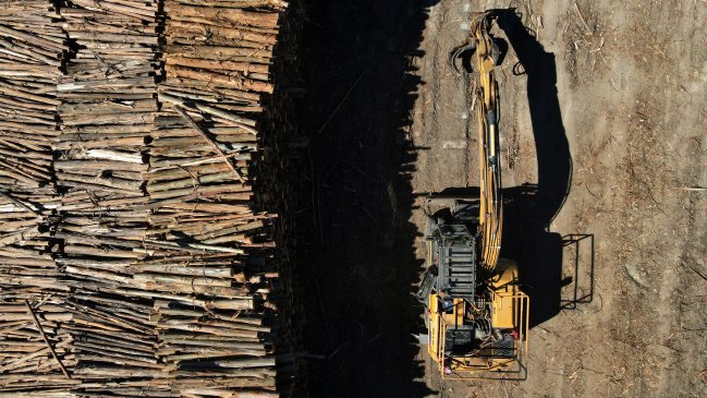 Fiscalía confirma que atentados y robo de madera en el sur han mutado a extorsiones