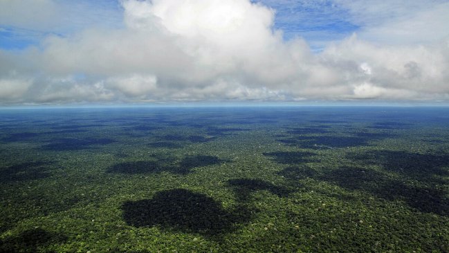 Brasil: ONU alerta de prácticas de esclavitud vinculadas a la destrucción de la Amazonía