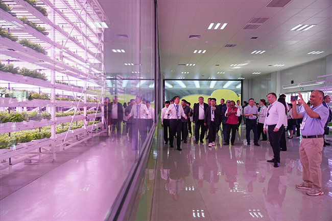 Imagen foto_00000016