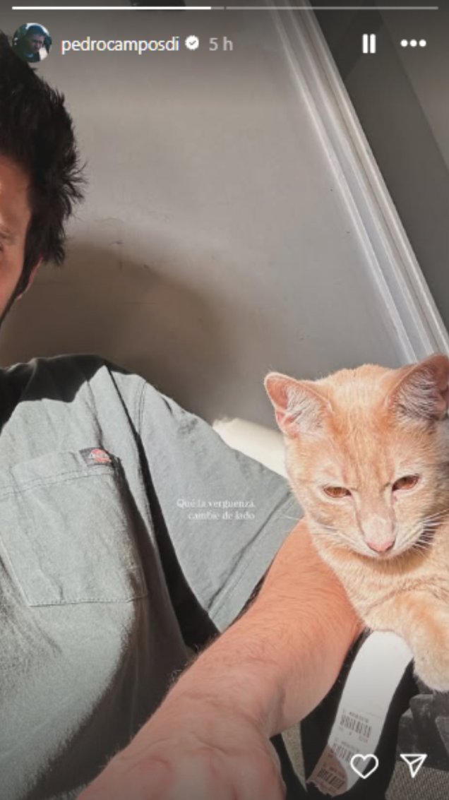 Historia de @pedrocamposdi