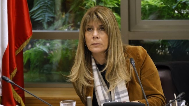 Oficialismo y la DC buscan impugnar candidatura de la senador Ximena Rincón