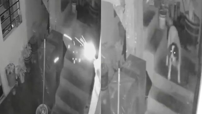 Acto heroico: Perrita apaga dinamita arrojada a casa de periodista en Perú