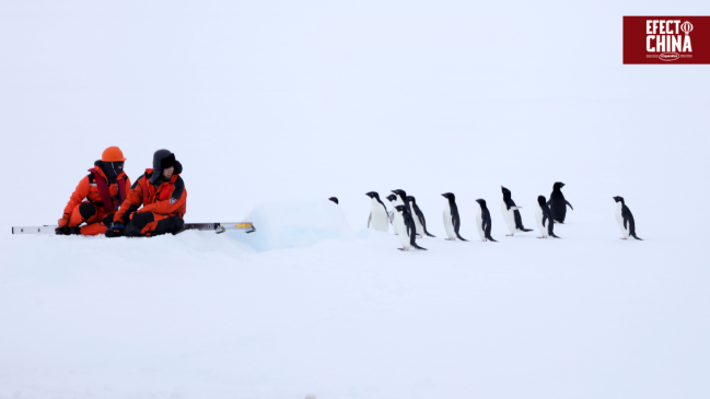 Convenio investigará el impacto de China en la Antártica