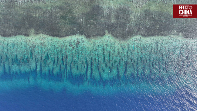 China establece reserva natural en Huangyan Dao para proteger arrecifes de coral