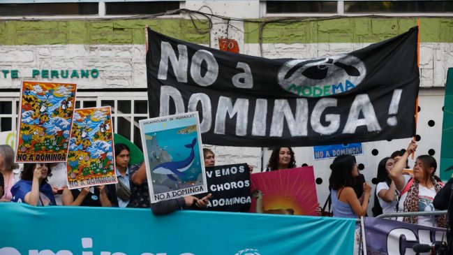 Senador Núñez advierte: Si obtiene luz verde, Dominga va escalar a instancias internacionales