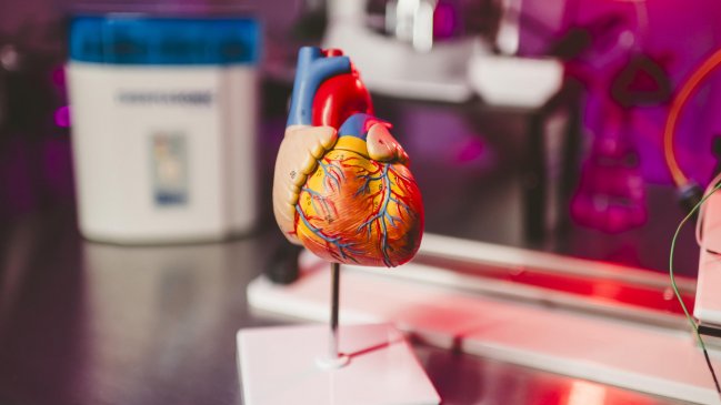 Científicos crean IA para oír los latidos del corazón y prevenir infartos