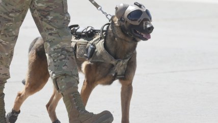   El adiós con honor de 