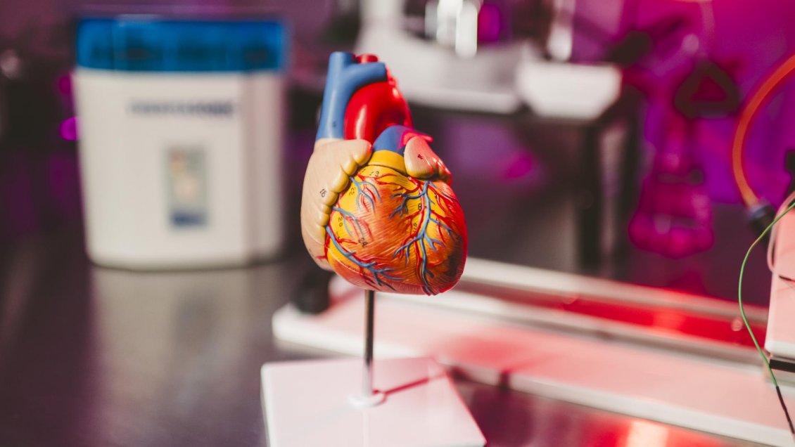 Científicos crean IA para oír los latidos del corazón y prevenir infartos