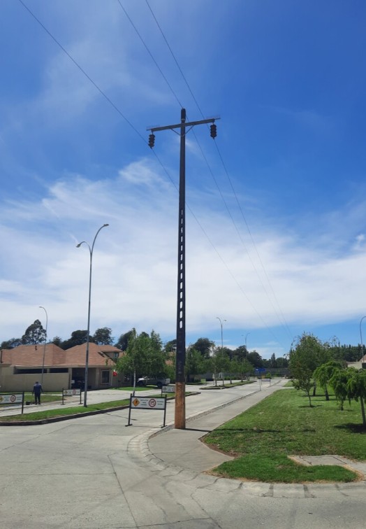 Imagen foto_00000003