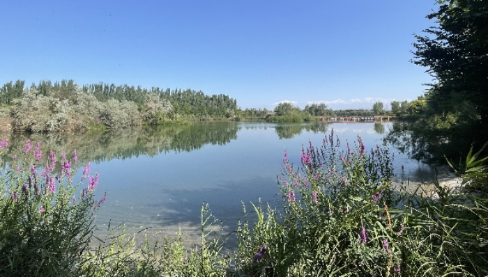 Imagen foto_00000002