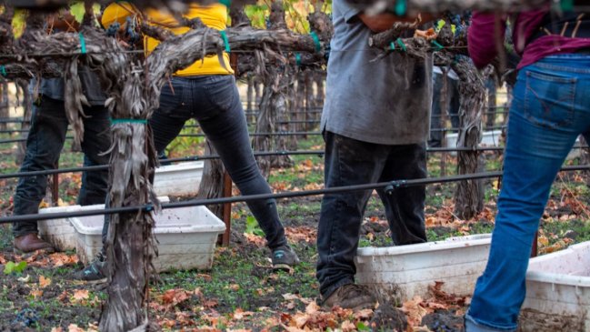 Luis Mayol apoya formalizar a migrantes irregulares: 