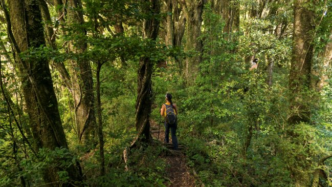 World Travel Awards 2025: Chile se coronó en cinco categorías de los 