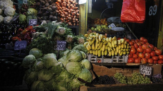 Día contra el Desperdicio: ¿Cómo funciona la Red de Alimentos en Chile?