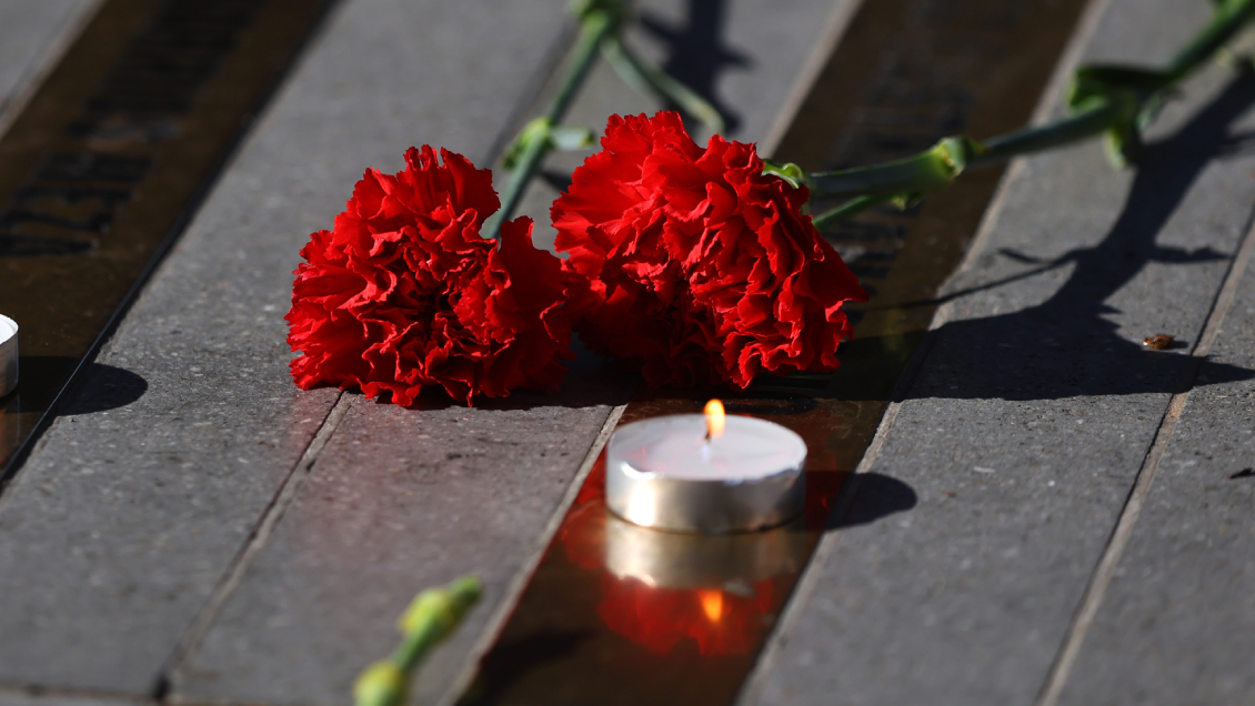 Controversia y desconfianza en torno al Plan Nacional de Búsqueda: La UDI exige fiscalización tras el caso Bernarda Vera