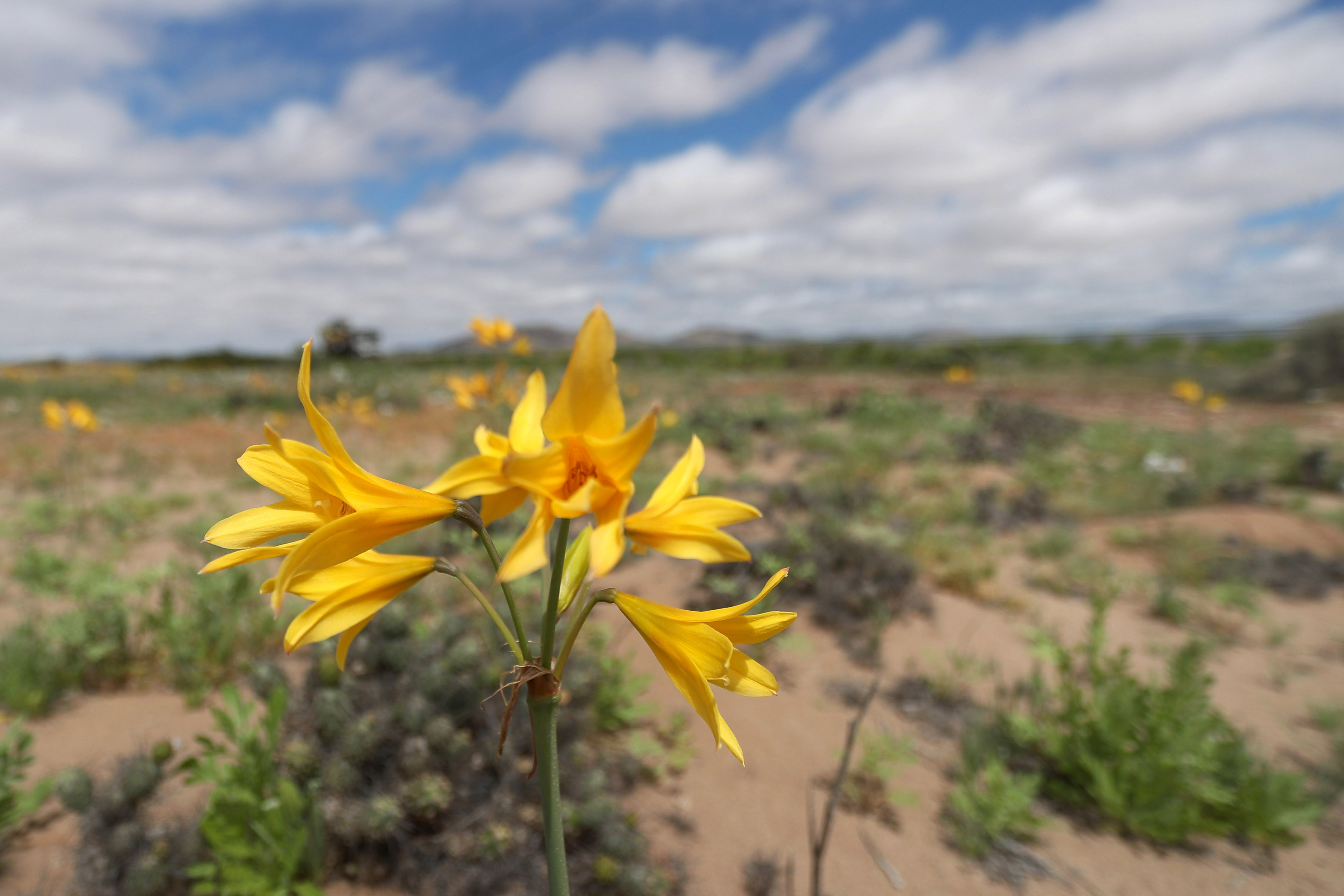 Imagen foto_00000004