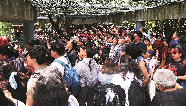 Imagen foto_00000012