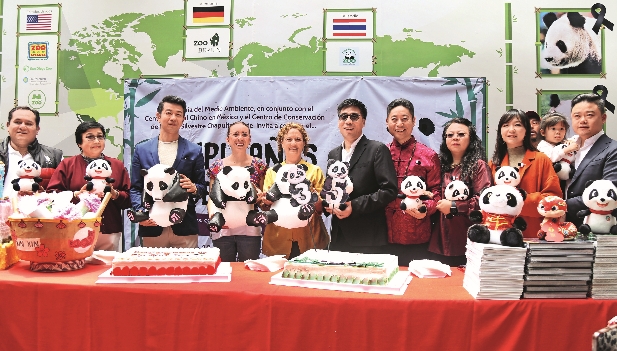 Imagen foto_00000013