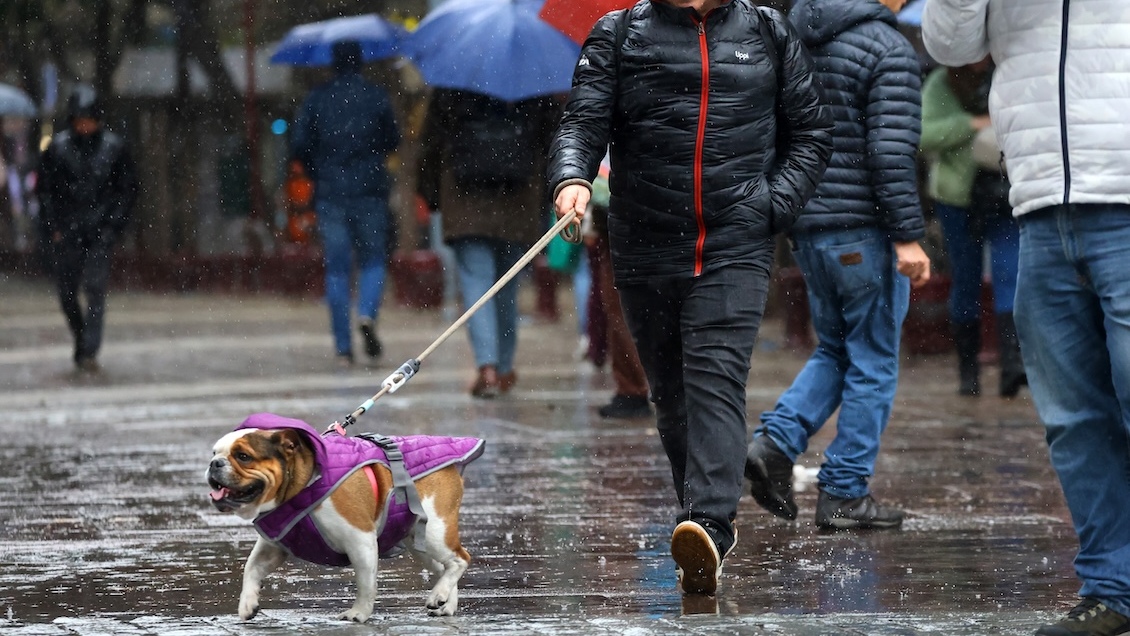Alerta temprana en La Araucanía por lluvias y vientos fuertes