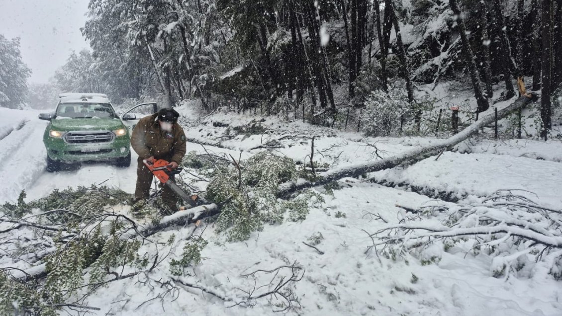 Aysén: 145 personas aisladas por temporal devastador