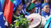 Comunidades mapuche de Malleco exigen el fin definitivo de la Consulta Indígena