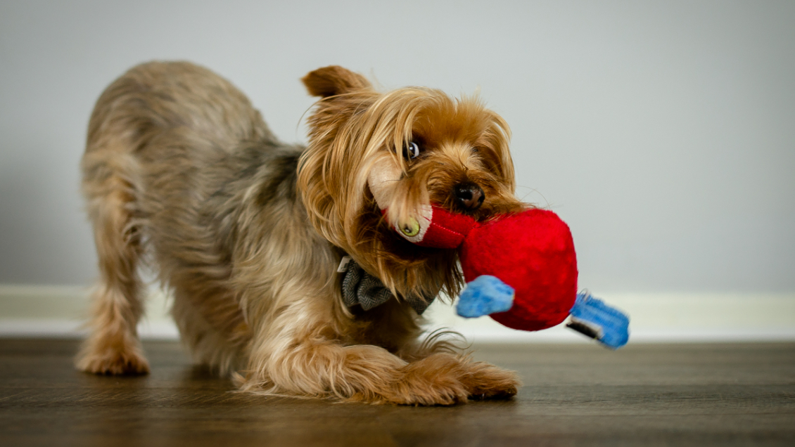Presencia de BPA en chupetes infantiles