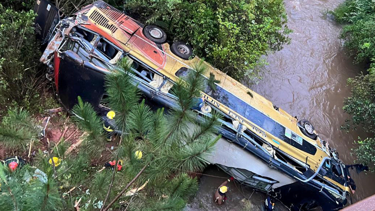 Tragedia en Argentina: Bus se precipita a arroyo, dejando dos muertos