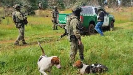  Encapuchado obligó a cazadores a desnudarse y mató a tres de sus perros  