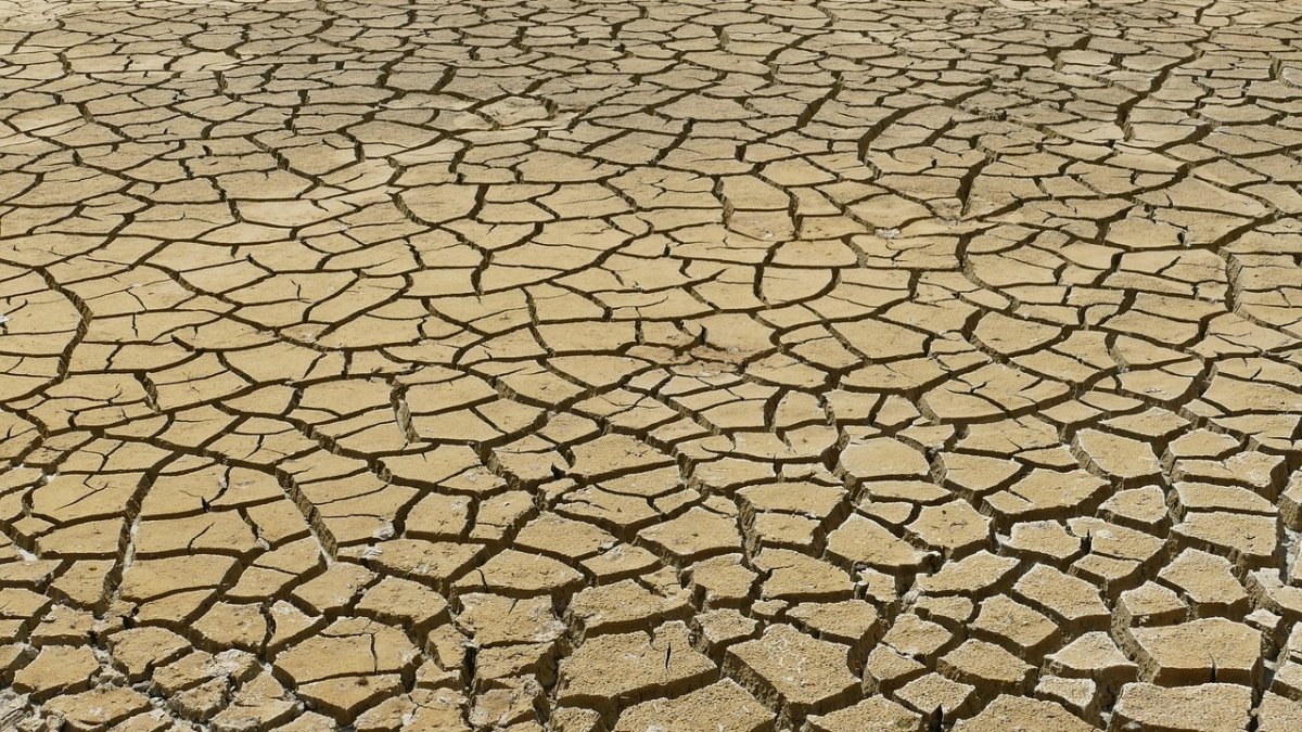 La Tierra se acerca al caos climático: signos vitales récord