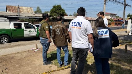   San Ramón: Hombre murió en su casa al ser baleado desde el exterior 