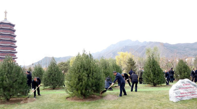 Imagen foto_00000008