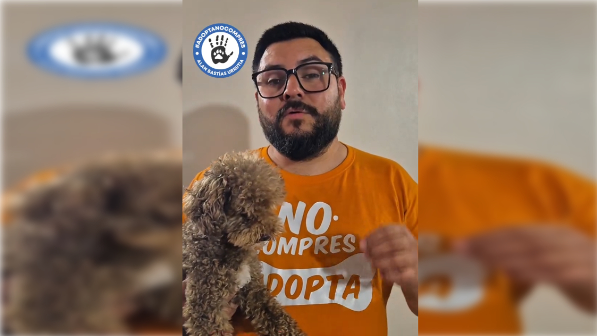 CORE del Biobío enfrenta grave acusación de delito sexual