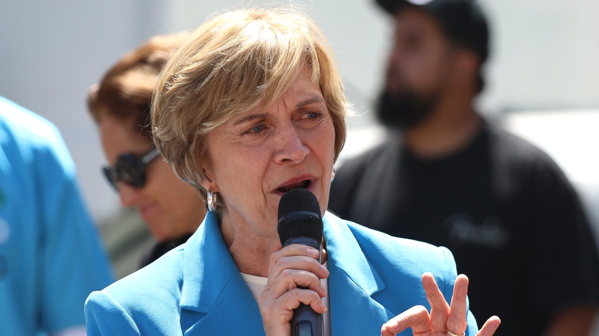 Polémica en torno al Plan Nacional de Búsqueda: ¿búsqueda, venganza o disputa política?