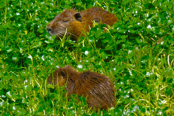 Imagen foto_00000013