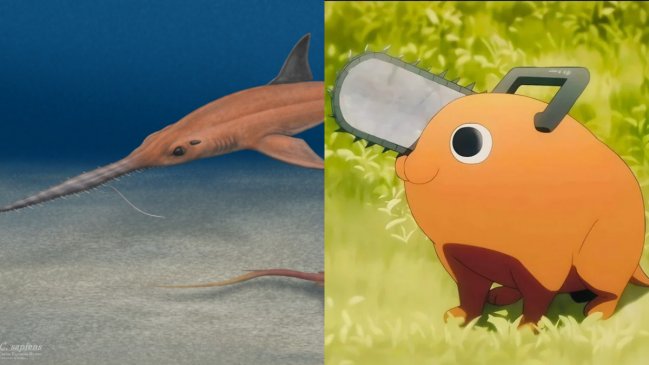 Científicos bautizan nuevo tiburón fósil en honor a 